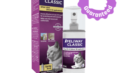 Feliway Classic Spray – Help cats feel safe and secure
